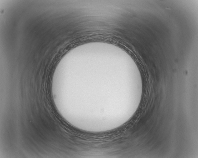 X0000087420701200704201046