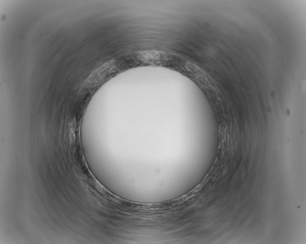 X0000087420702200704201046