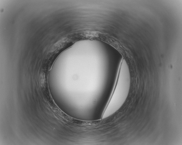 X0000087420704200704201046