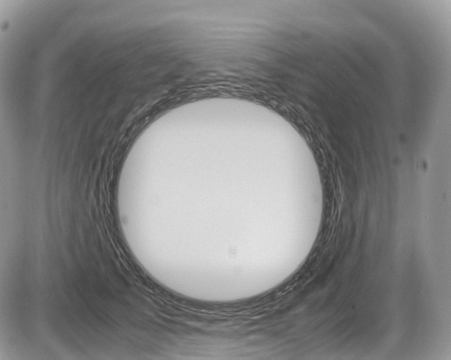 X0000087420705200704201046