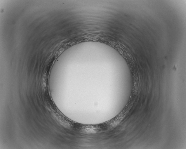 X0000087420710200704201045