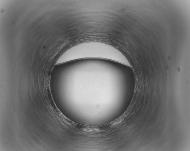 X0000087420712200704201045