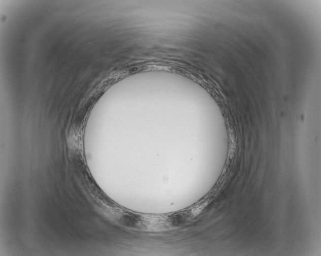 X0000087420713200704201045