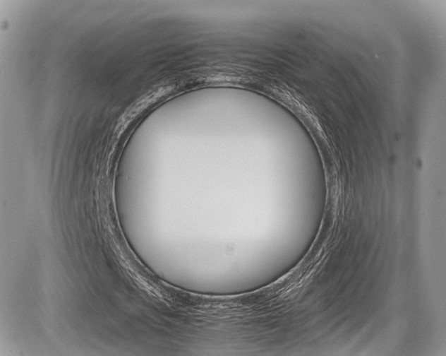 X0000087420721200704201045