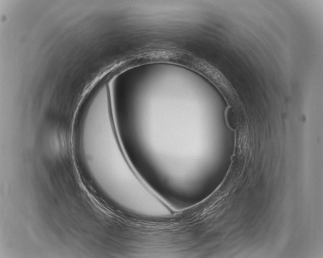 X0000087420722200704201045