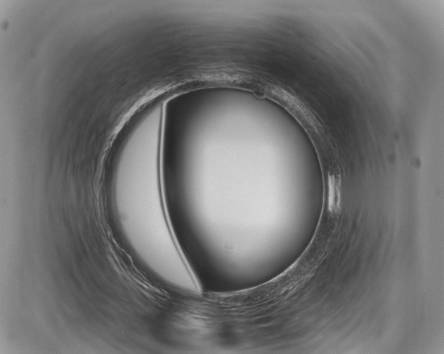 X0000087420723200704201045