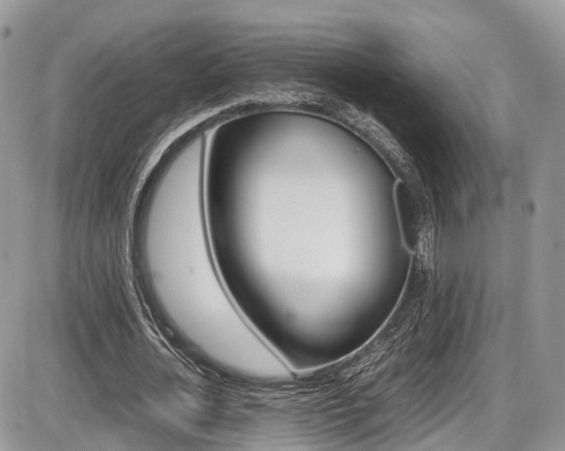 X0000087420724200704201045