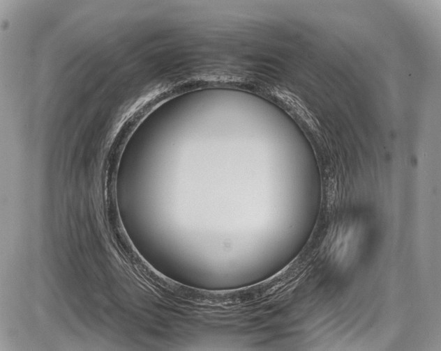 X0000087420727200704201045