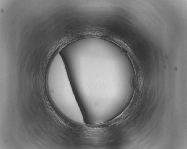 X0000087420729200704201045