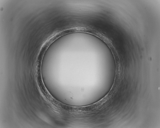 X0000087420730200704201045