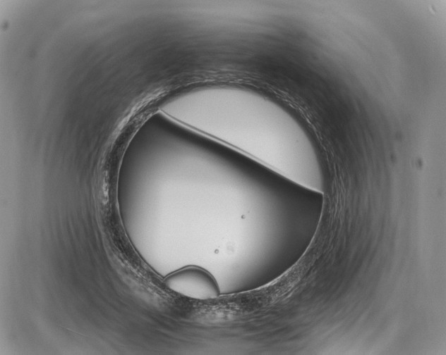X0000087420731200704201045
