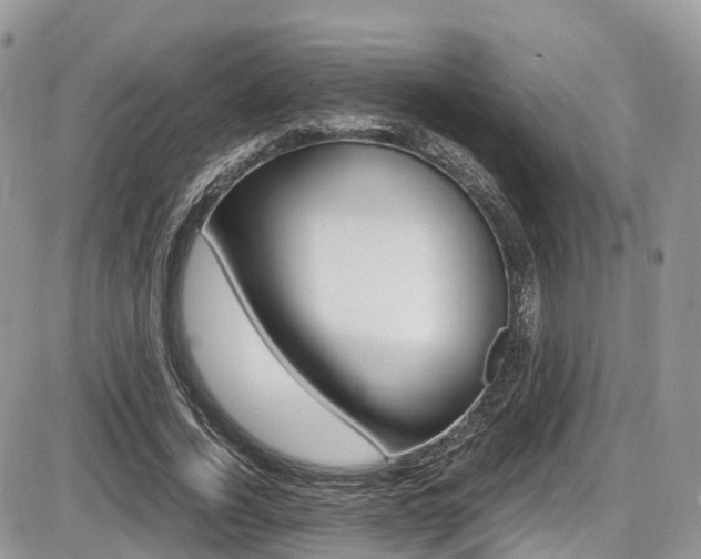 X0000087420732200704201045