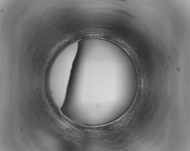 X0000087420733200704201045