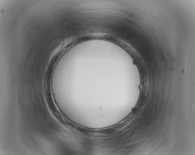 X0000087420734200704201045