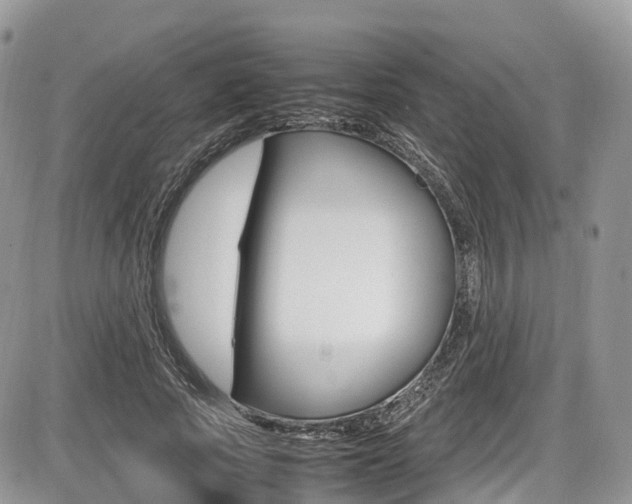 X0000087420737200704201045