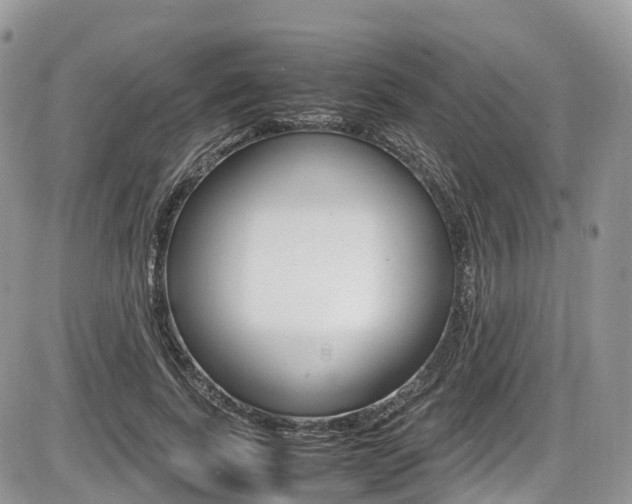 X0000087420739200704201045