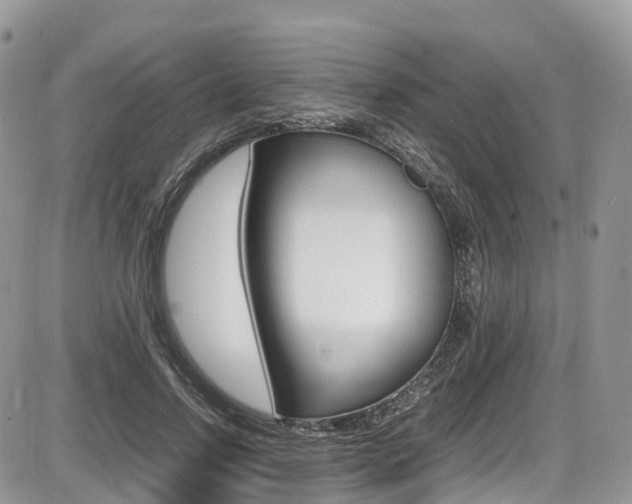 X0000087420742200704201045
