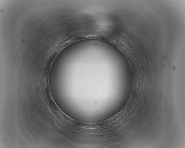 X0000087420743200704201045