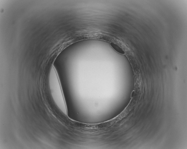X0000087420744200704201045