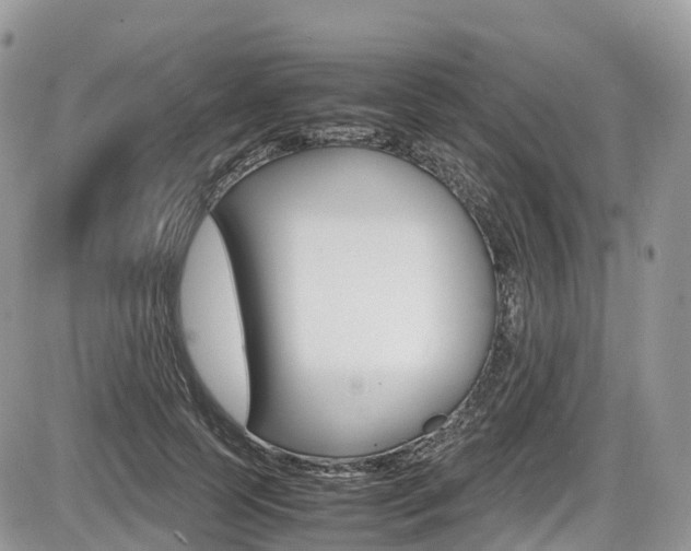 X0000087420745200704201045