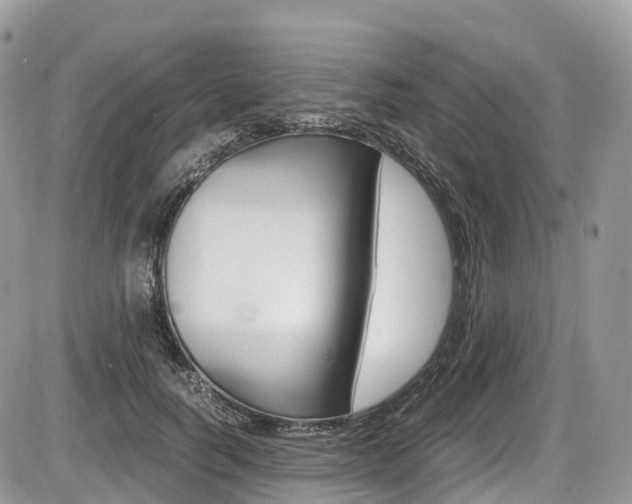 X0000087420746200704201045