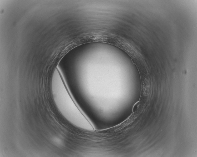 X0000087420748200704201045