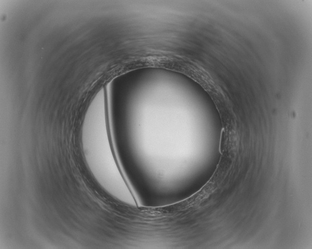 X0000087420750200704201045