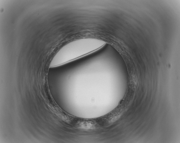 X0000087420751200704201045
