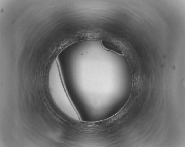 X0000087420752200704201045