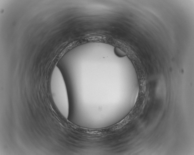 X0000087420753200704201045