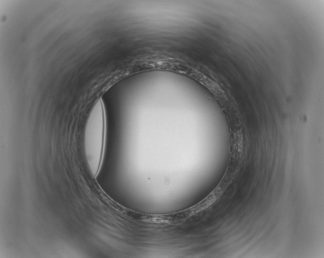 X0000087420754200704201045