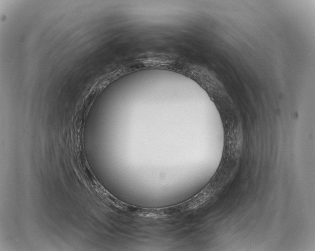 X0000087420755200704201045