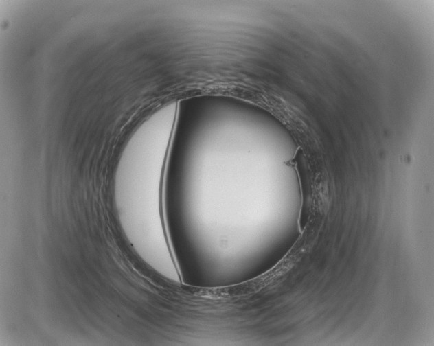 X0000087420756200704201045