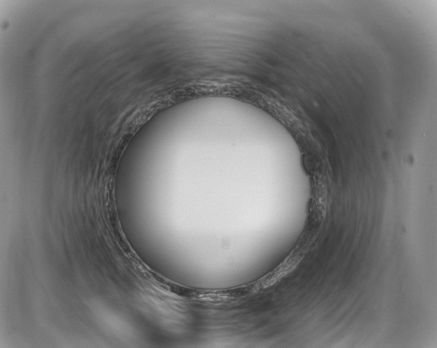 X0000087420758200704201045