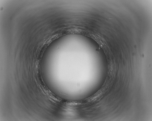 X0000087420759200704201045