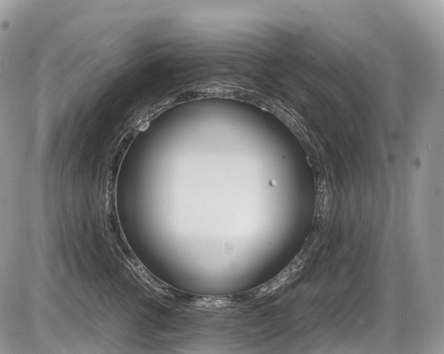X0000087420762200704201045