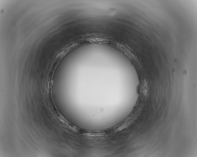 X0000087420763200704201045