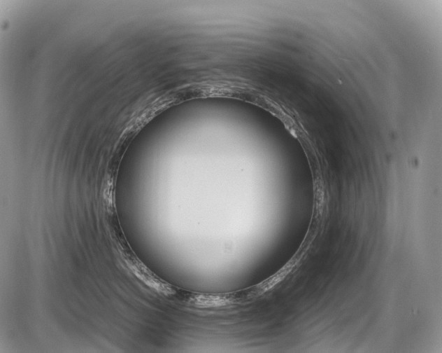 X0000087420766200704201045
