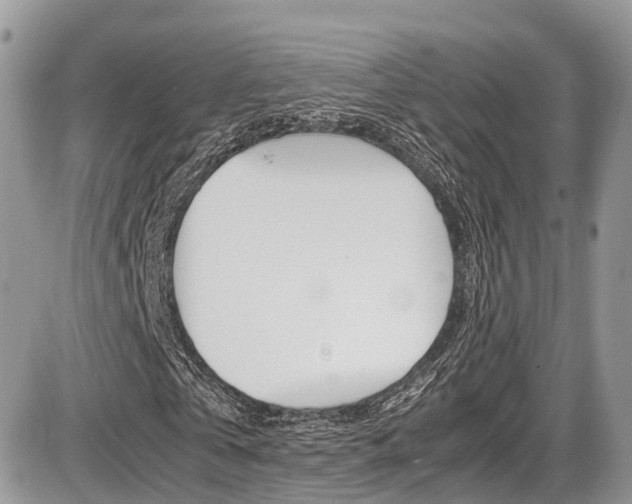 X0000087420769200704201045