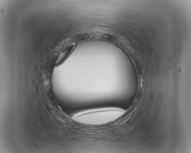 X0000087420771200704201045