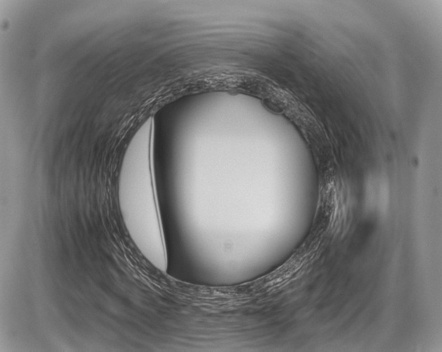X0000087420772200704201044