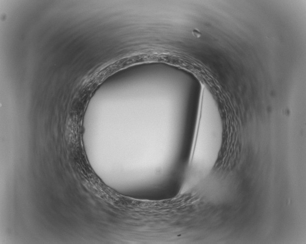X0000087420773200704201044