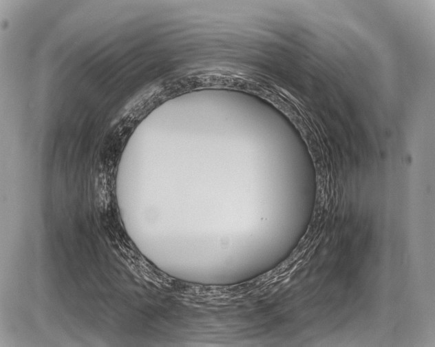 X0000087420774200704201044