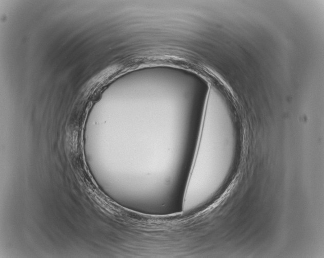 X0000087420777200704201044