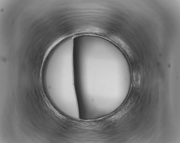 X0000087420780200704201044
