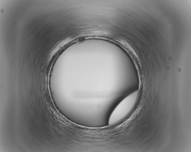 X0000087420781200704201044