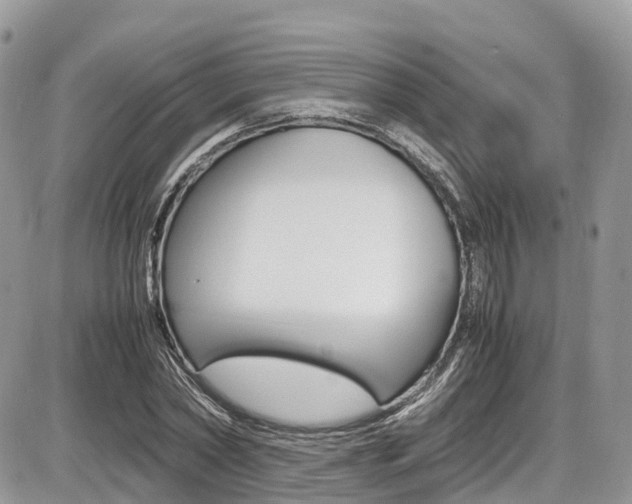 X0000087420782200704201044
