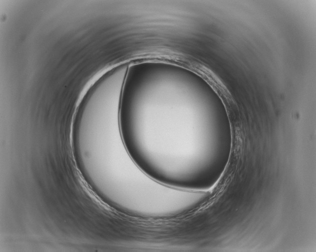 X0000087420788200704201044