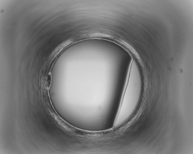 X0000087420793200704201044