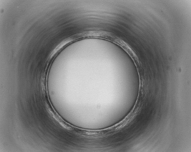 X0000087420794200704201044